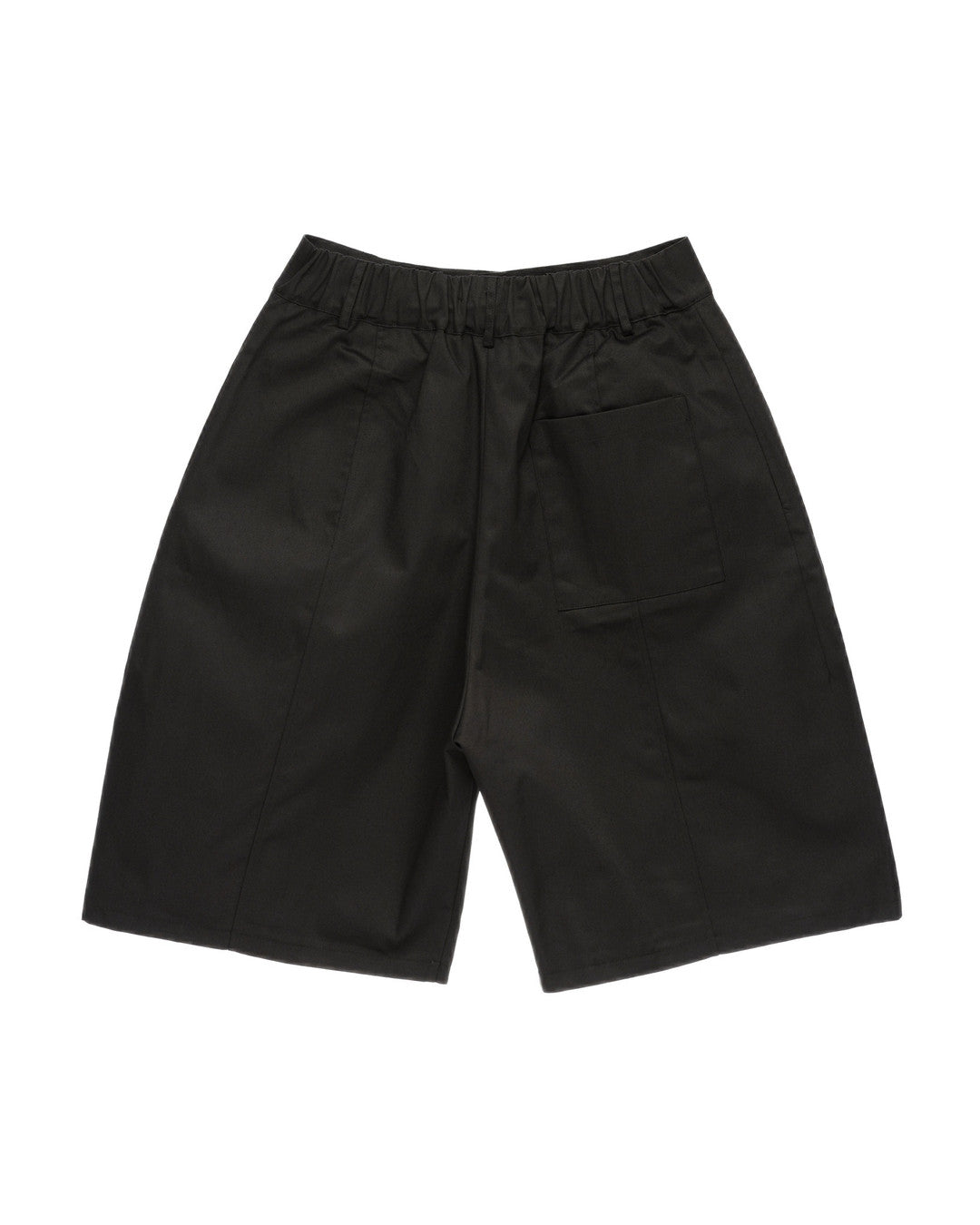Coated Double-Pleat Wide Shorts worn on model, image 01