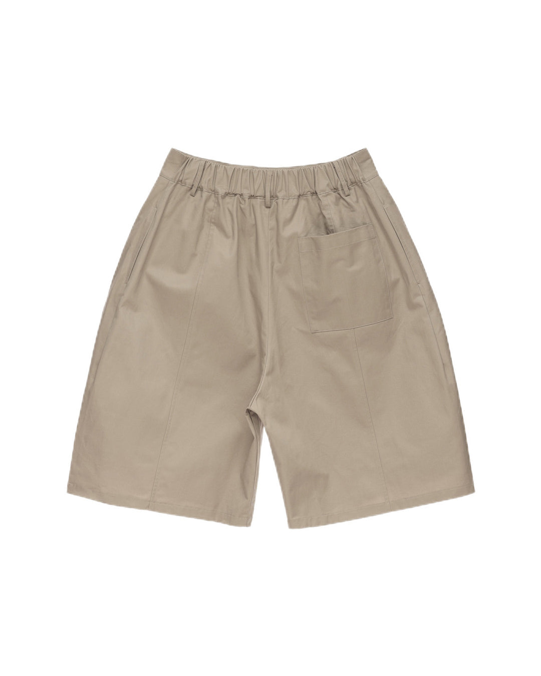 Coated Pleated Wide Shorts worn on model, image 04
