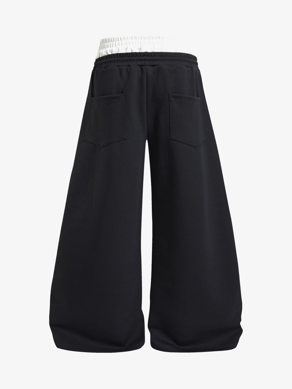 FANYE STAR STRIPE WIDE LEG PANTS; Black; back view
