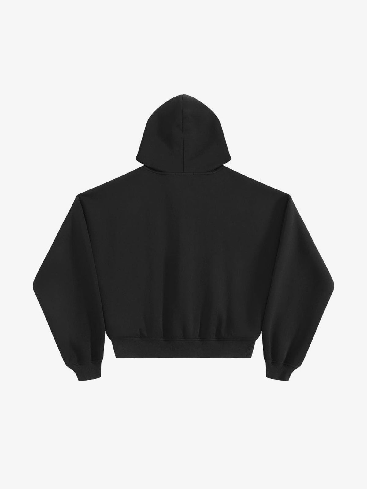 A PUEE | Fireman Clasp Zip Up Hoodie in Black - back view