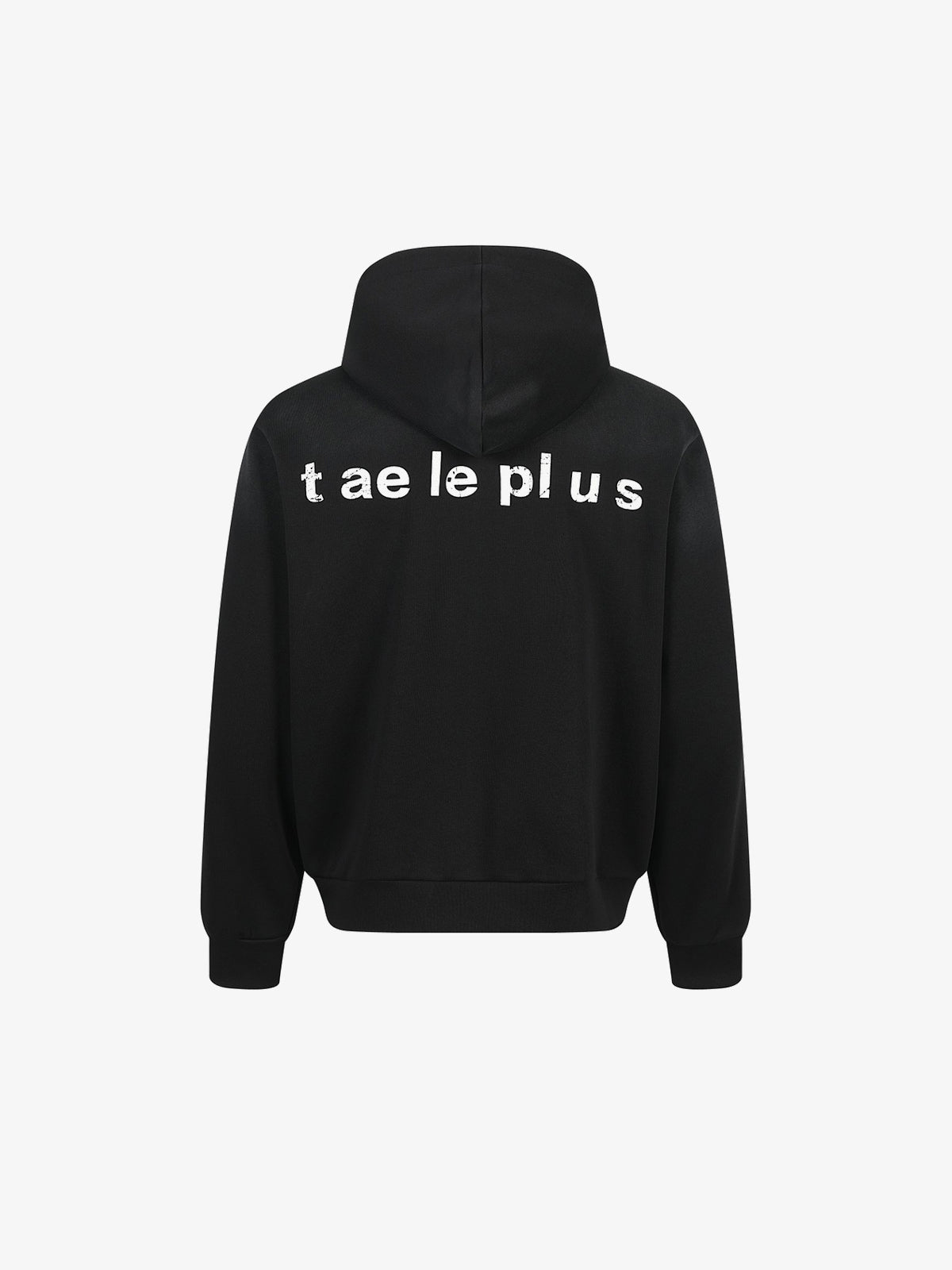 TAELE PLUS | Pegasus 77 Zip Up Hoodie in Black - back view