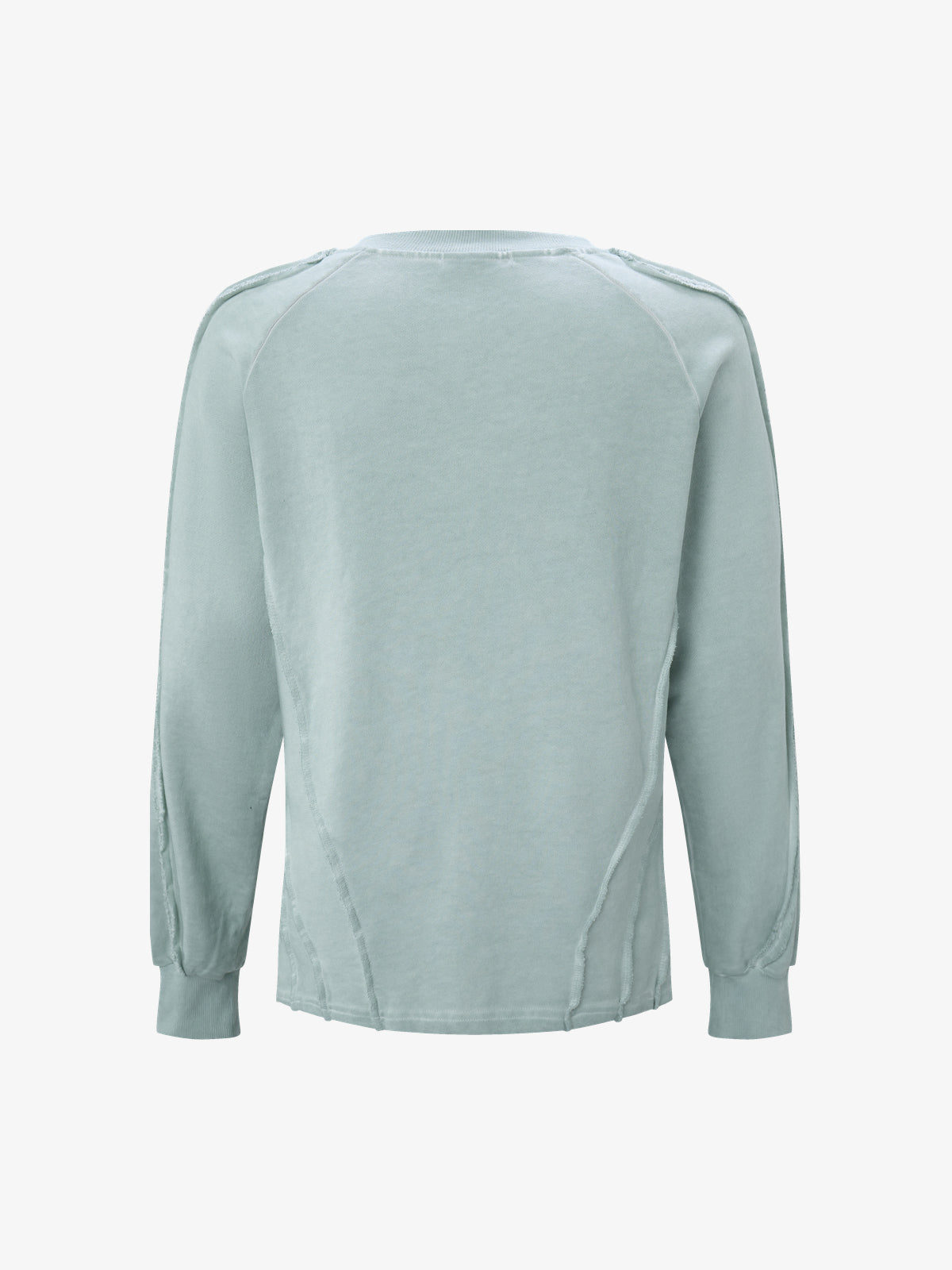 ATSF30 | Distressed Panel Seam Sweatshirt in Mint - back view