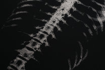 GLFS | Skeleton Ribcage Waffle Sweatshirt - product detail