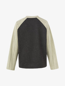 WHOLATE | Gothic Cathedral Raglan Sweatshirt in Black - back view