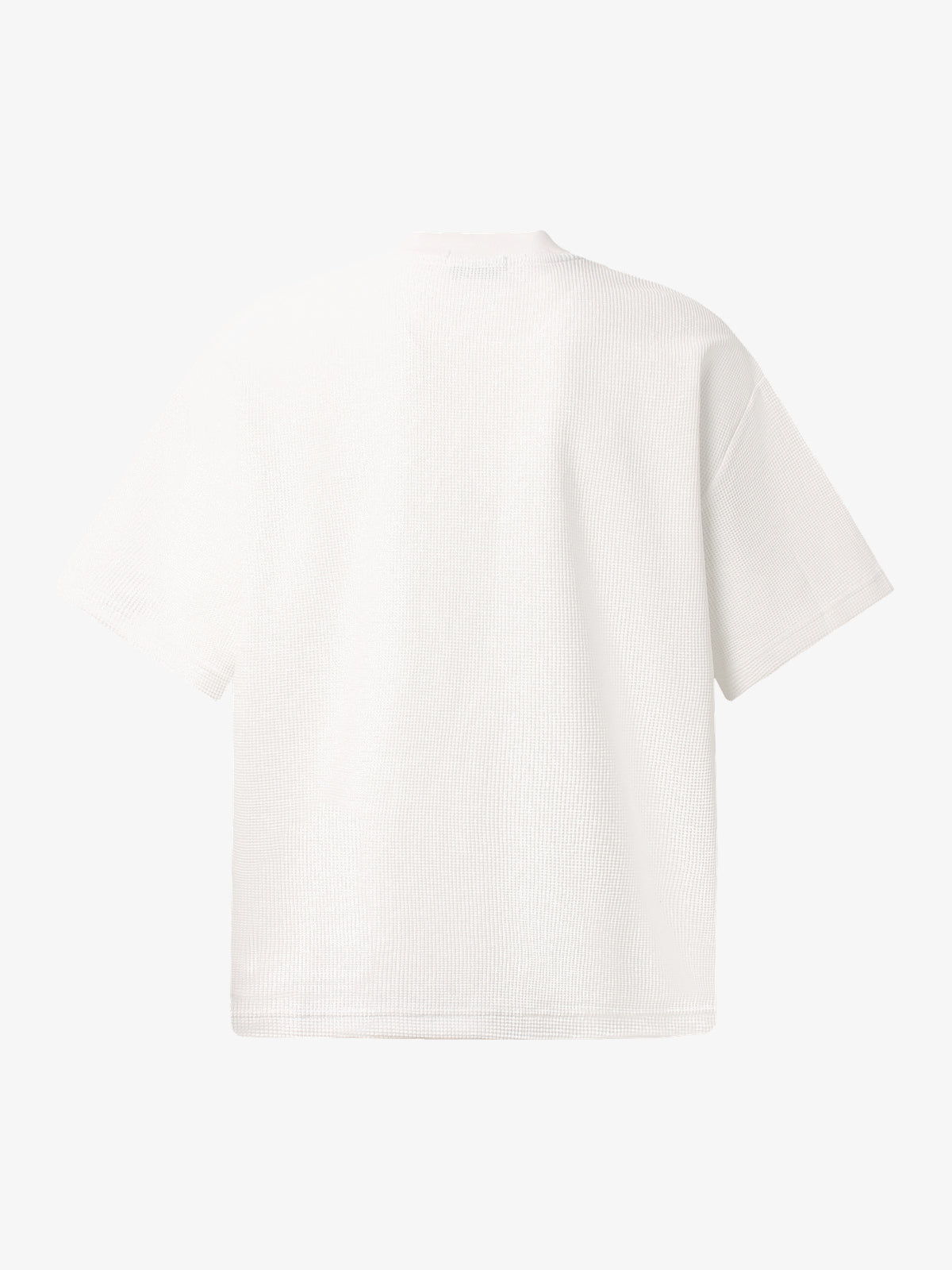 GLFS | Checkered Racing Graphic T-Shirt in White - back view