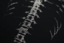 GLFS | X-Ray Skeleton Graphic T-Shirt - product detail
