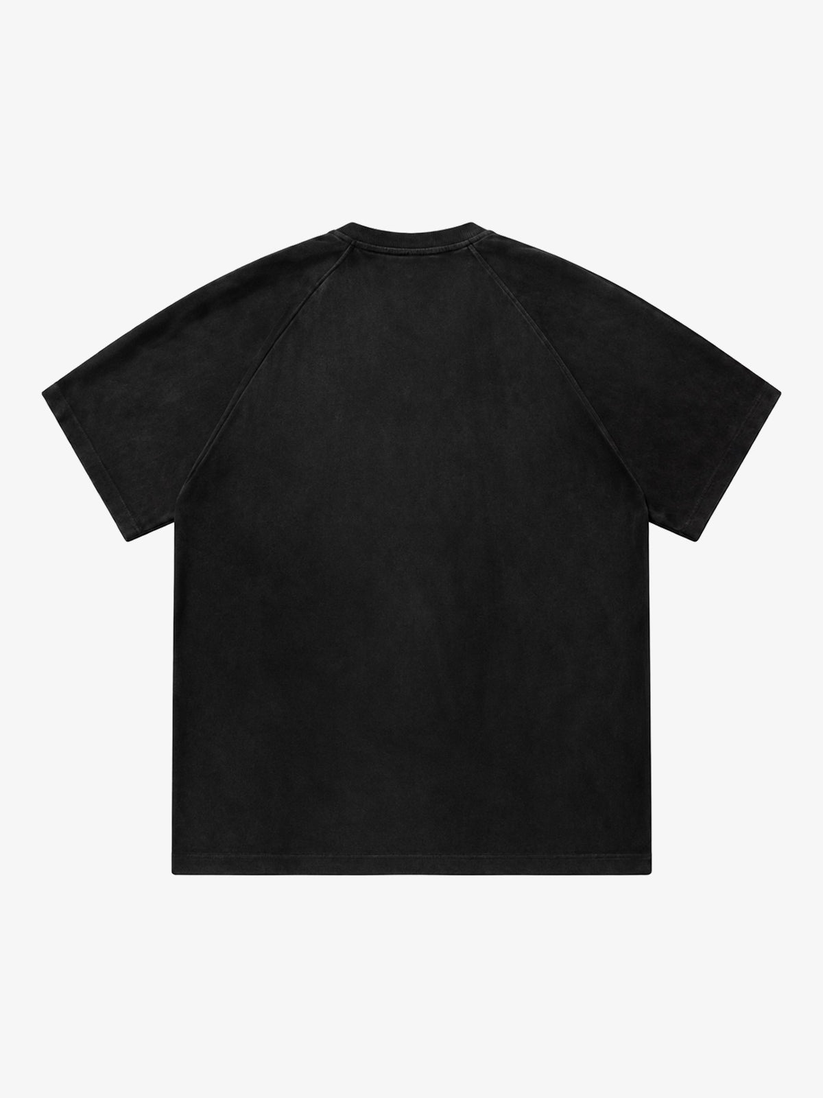HANLU | Tonal-Panel Raglan T-Shirt in Black - back view