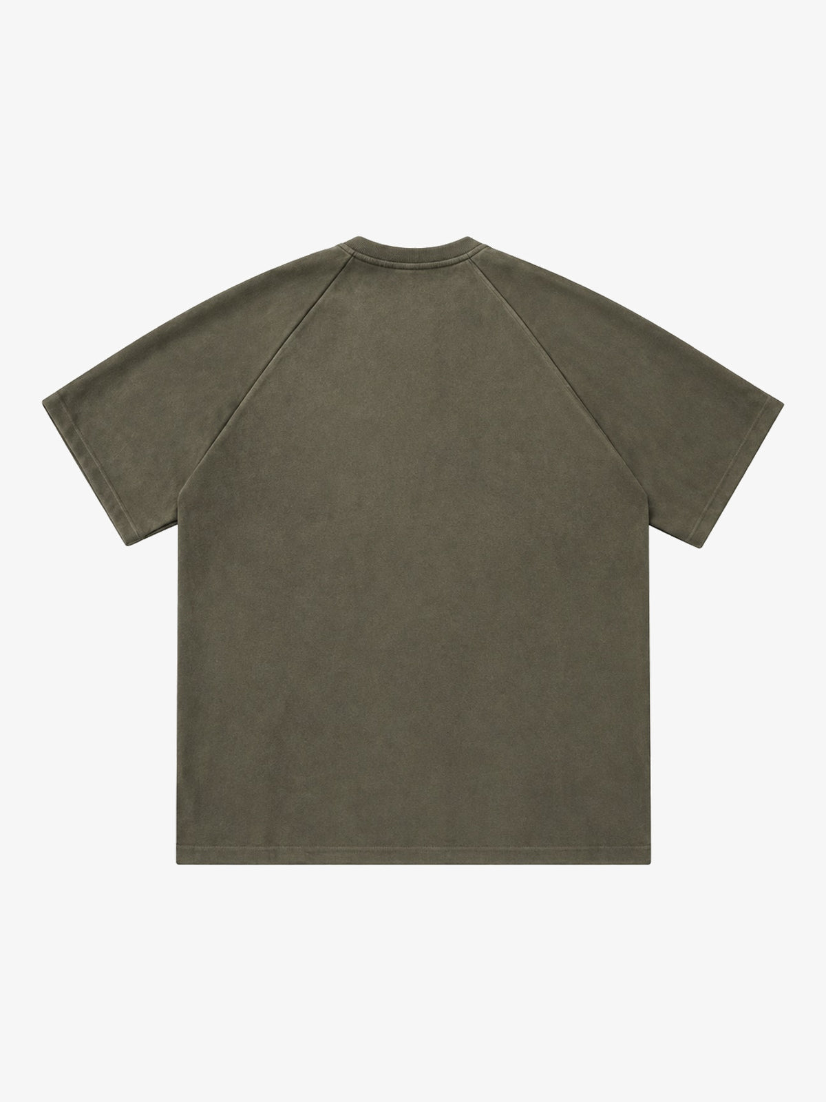 HANLU | Tonal-Panel Raglan T-Shirt in Green - back view