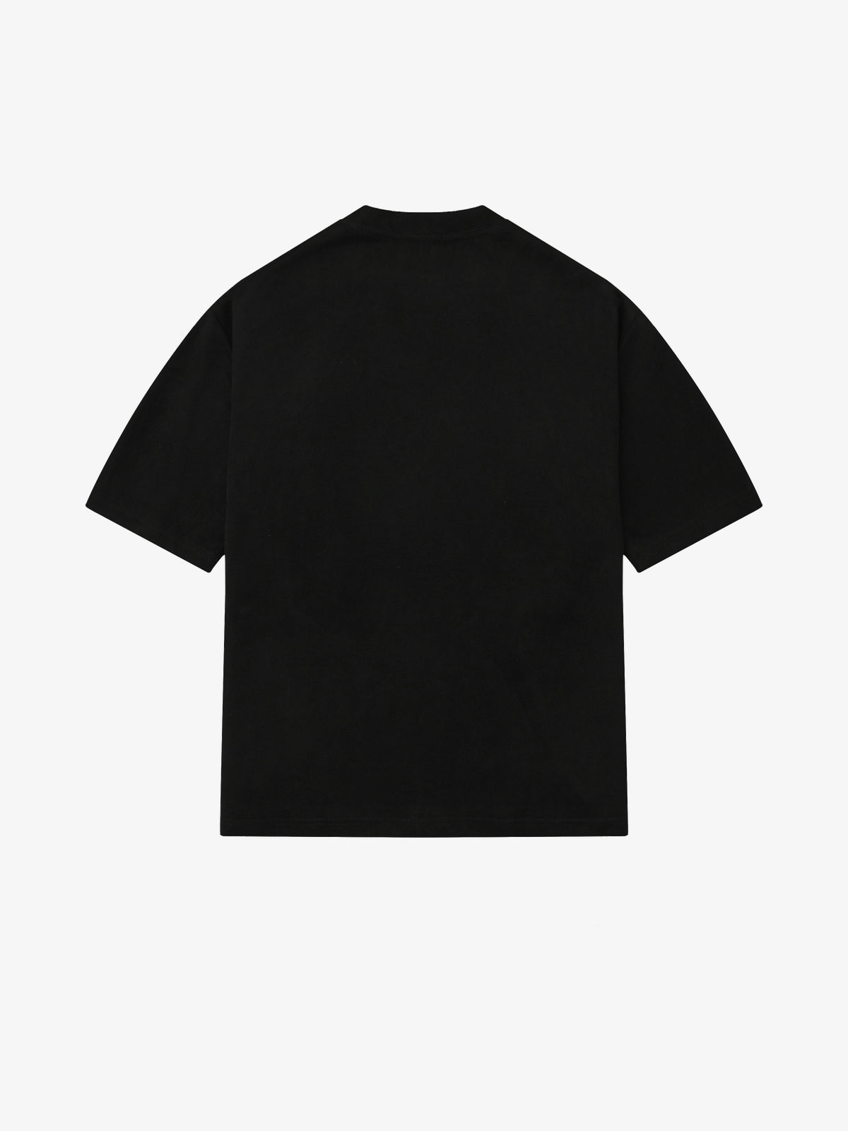 SAVAGE BASE | Reflective-Piping Star-Tag T-Shirt in Black - back view