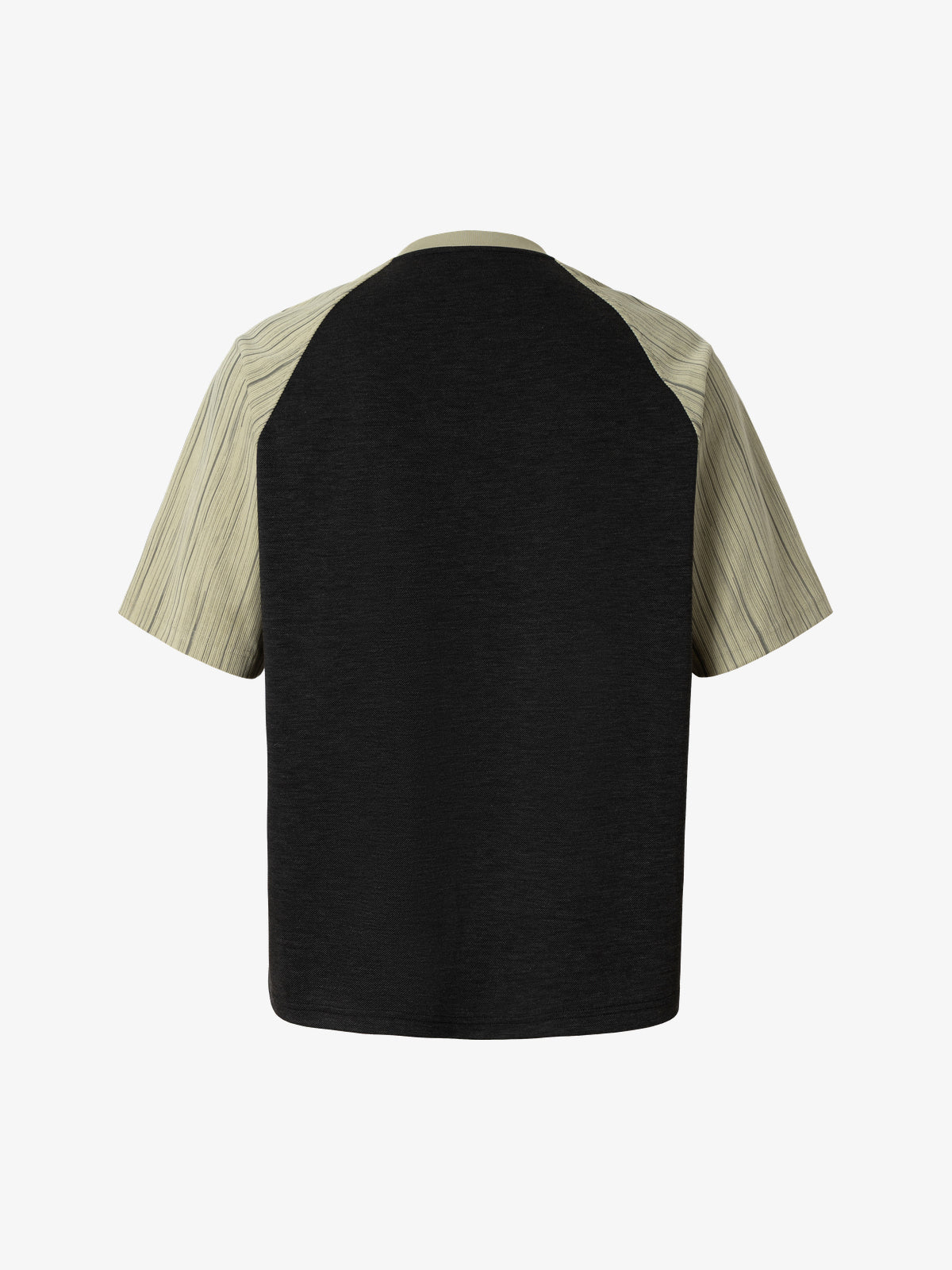 WHOLATE | Cathedral Raglan T-Shirt in Black - back view